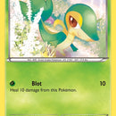 Snivy