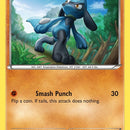 Riolu (46)