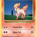 Ponyta