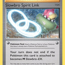 Slowbro Spirit Link