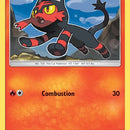 Litten - SM02