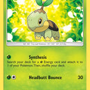 Turtwig (6)