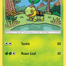 Turtwig (7)