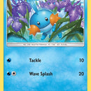 Mudkip (33)