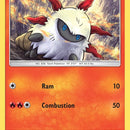 Larvesta