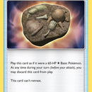 Unidentified Fossil