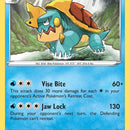 Drednaw