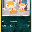 Scraggy