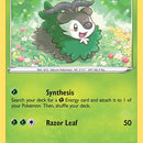 Skiddo