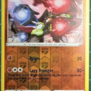 Zygarde