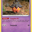 Pumpkaboo