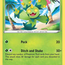 Maractus
