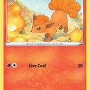 Vulpix (28)