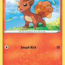 Vulpix (29)