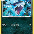 Sharpedo