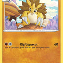 Sandslash