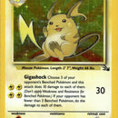 Raichu (14)