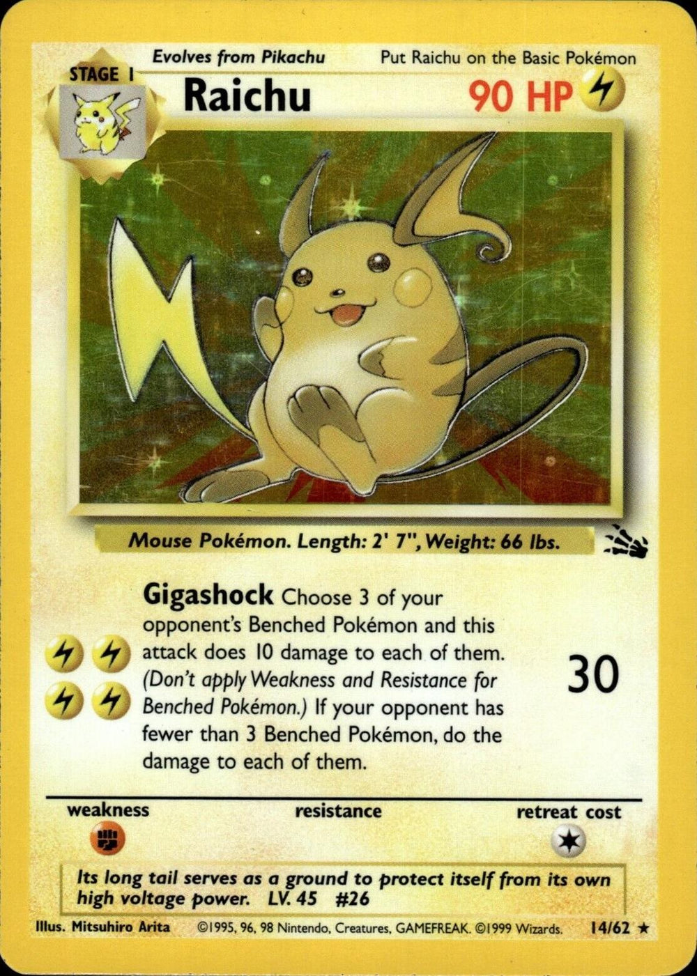 Raichu (14)