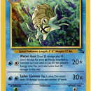 Omastar