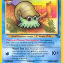 Omanyte