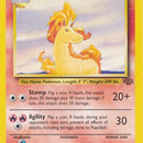 Rapidash