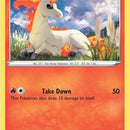 Ponyta