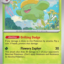 Skiploom