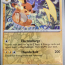 Raichu - 064/193