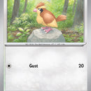 Pidgey