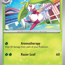 Steenee