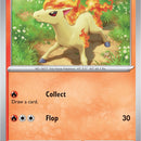 Ponyta