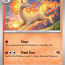 Rapidash
