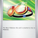 Protective Goggles