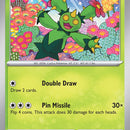Maractus