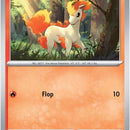 Ponyta