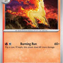 Rapidash