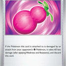 Payapa Berry
