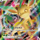Leafeon VMAX - 003/069