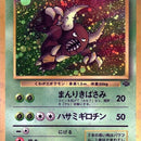 Pinsir
