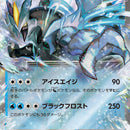 Black Kyurem ex - 011/064