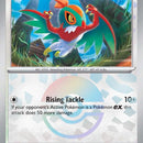 Hawlucha (Poke Ball Pattern)