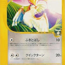 Falkner's Pidgeot