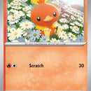 Torchic