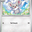 Cinccino