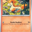 Ponyta