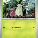 Chikorita