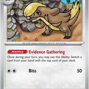 Gumshoos - 110/132