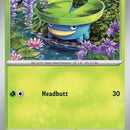 Lotad