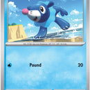 Popplio