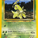 Bayleef (29)